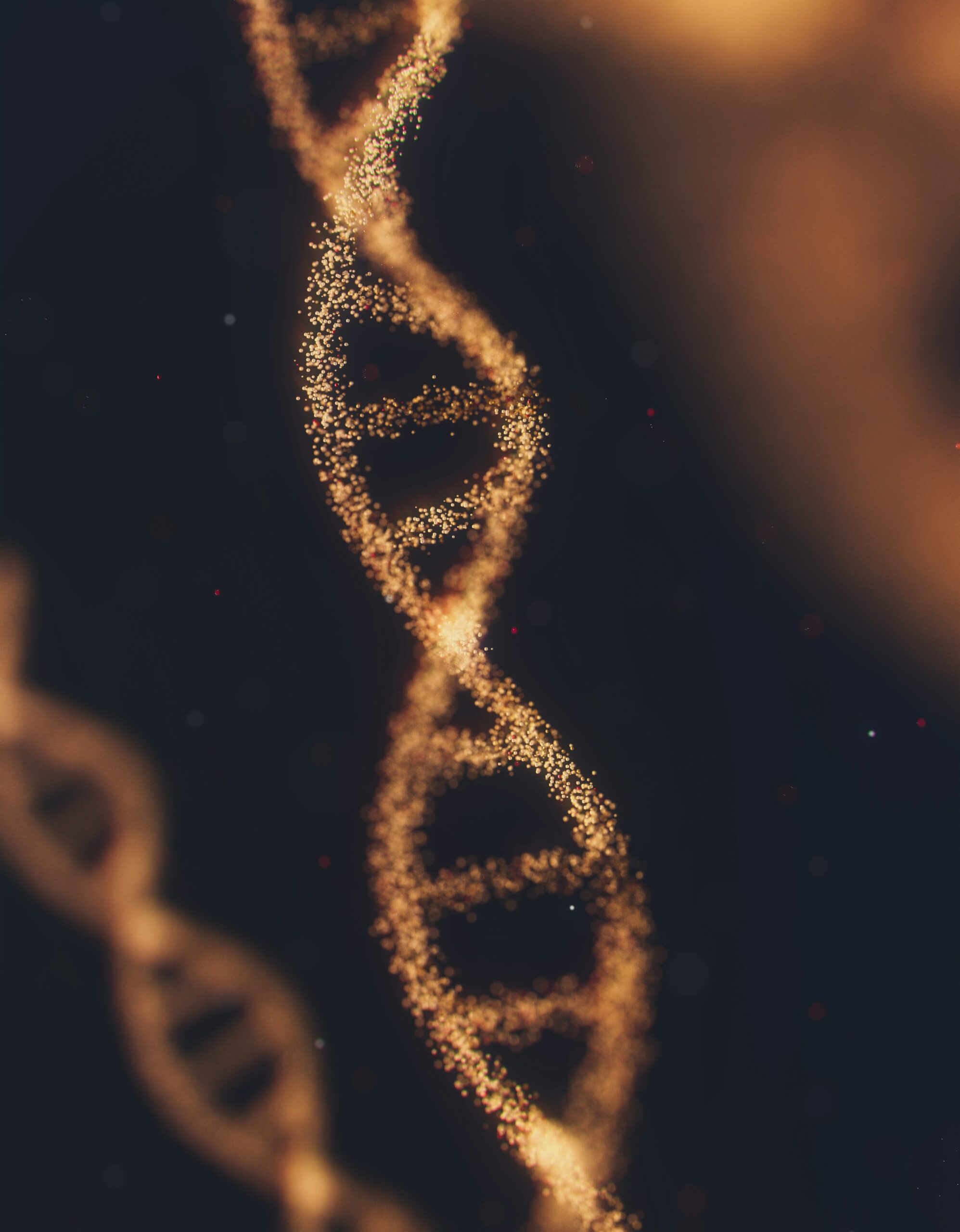 DNA strand to represent tissue repair and recovery, longevity, and immune resilience